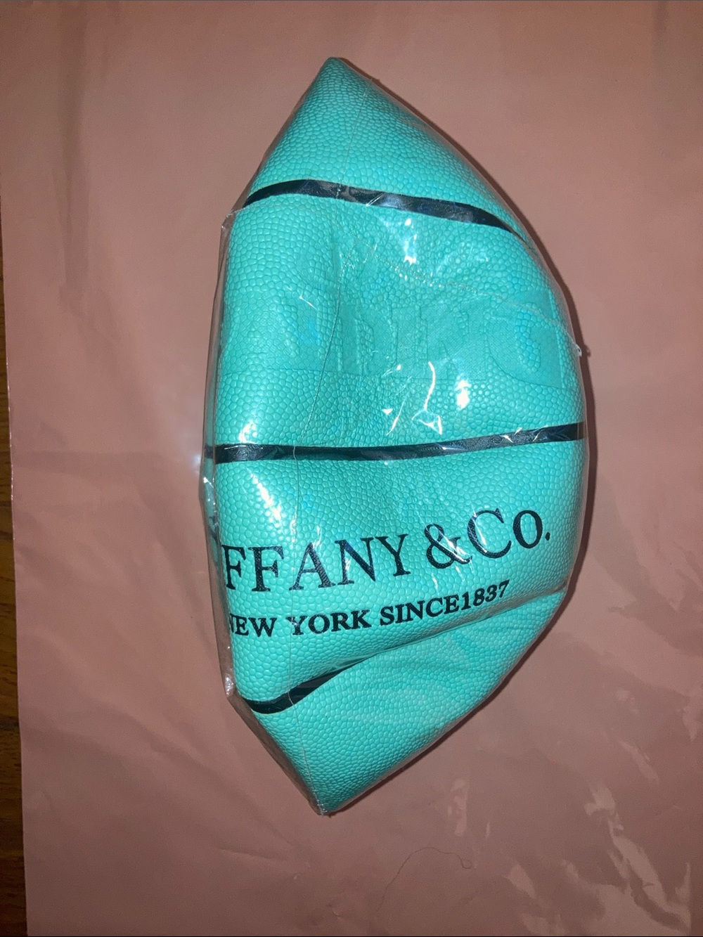 Tiffany & Co. turquoise logo pouch with black accents